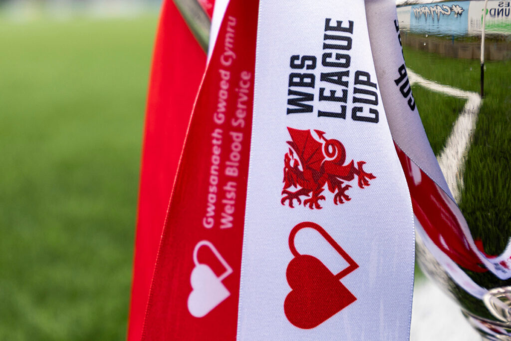 Welsh Blood Service League Cup trophy.